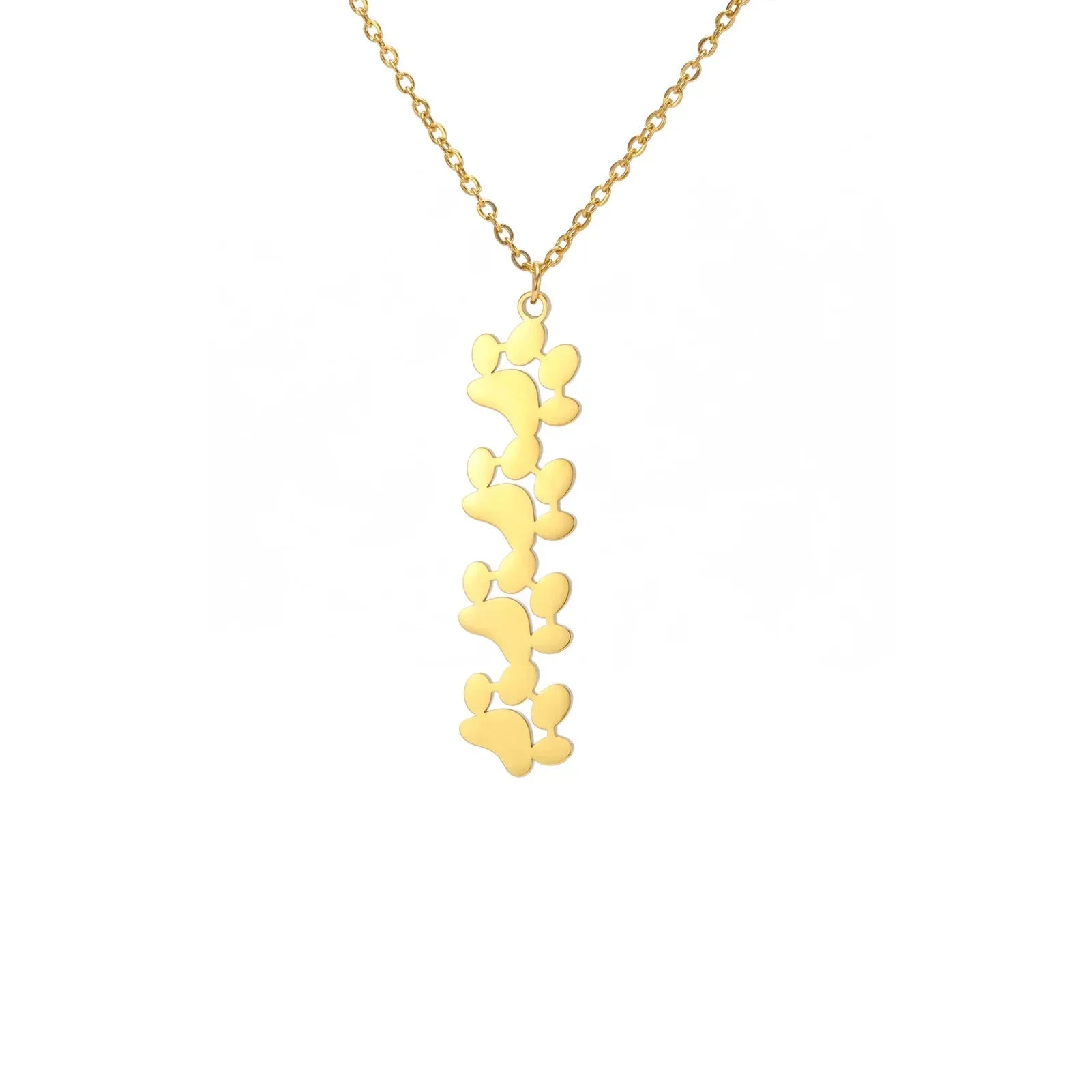 Colar Elegante em Aço Inoxidável com Pata